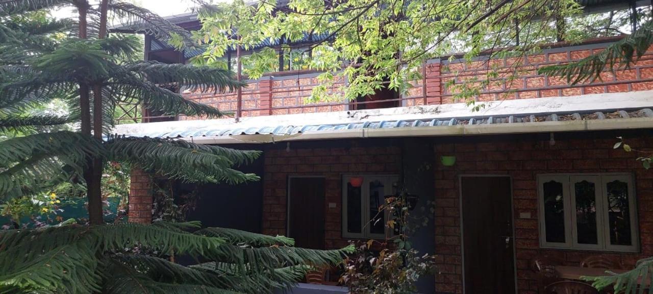 Green Hills Farm And Guest House Masinagudi Rom bilde